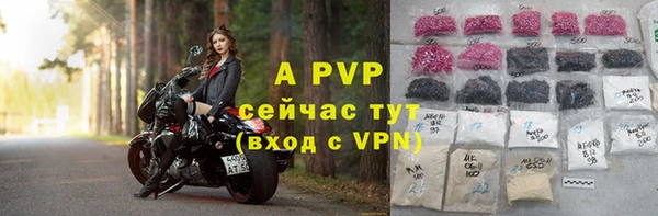 стаф Балахна
