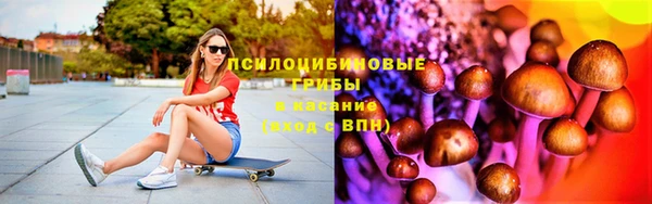 стаф Балахна