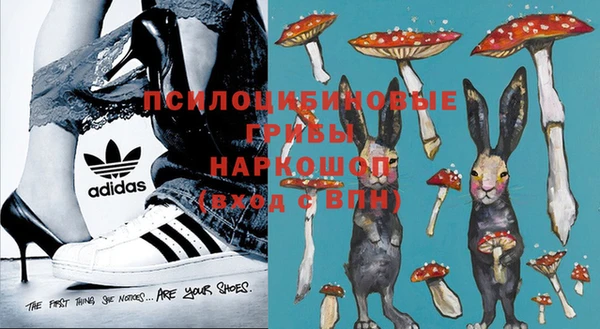 стаф Балахна