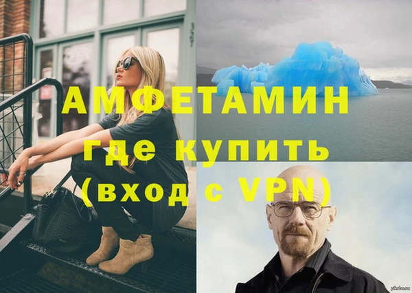 стаф Балахна